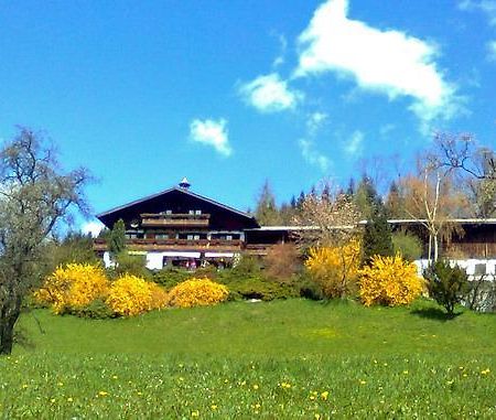 Biohof Schwanser Steinbach am Attersee Exterior photo