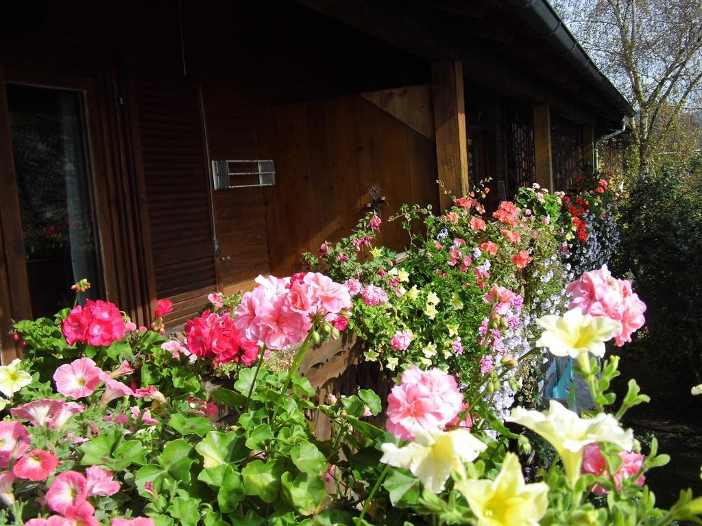 Biohof Schwanser Steinbach am Attersee Exterior photo