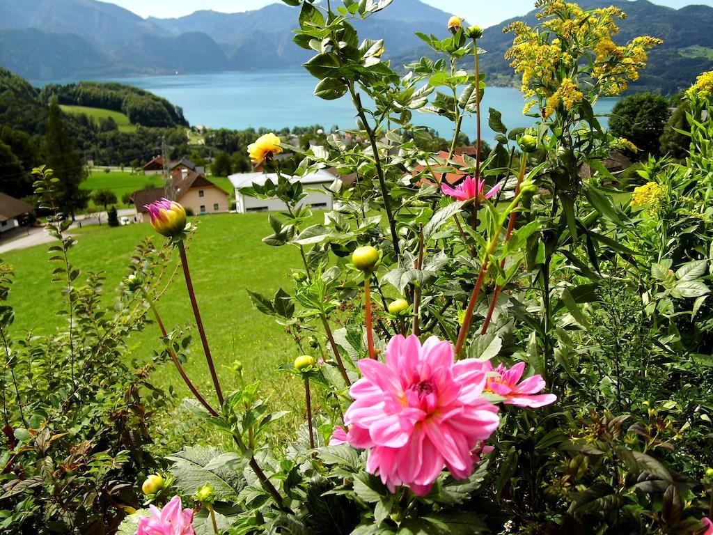 Biohof Schwanser Steinbach am Attersee Exterior photo