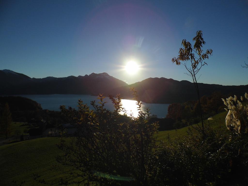 Biohof Schwanser Steinbach am Attersee Exterior photo