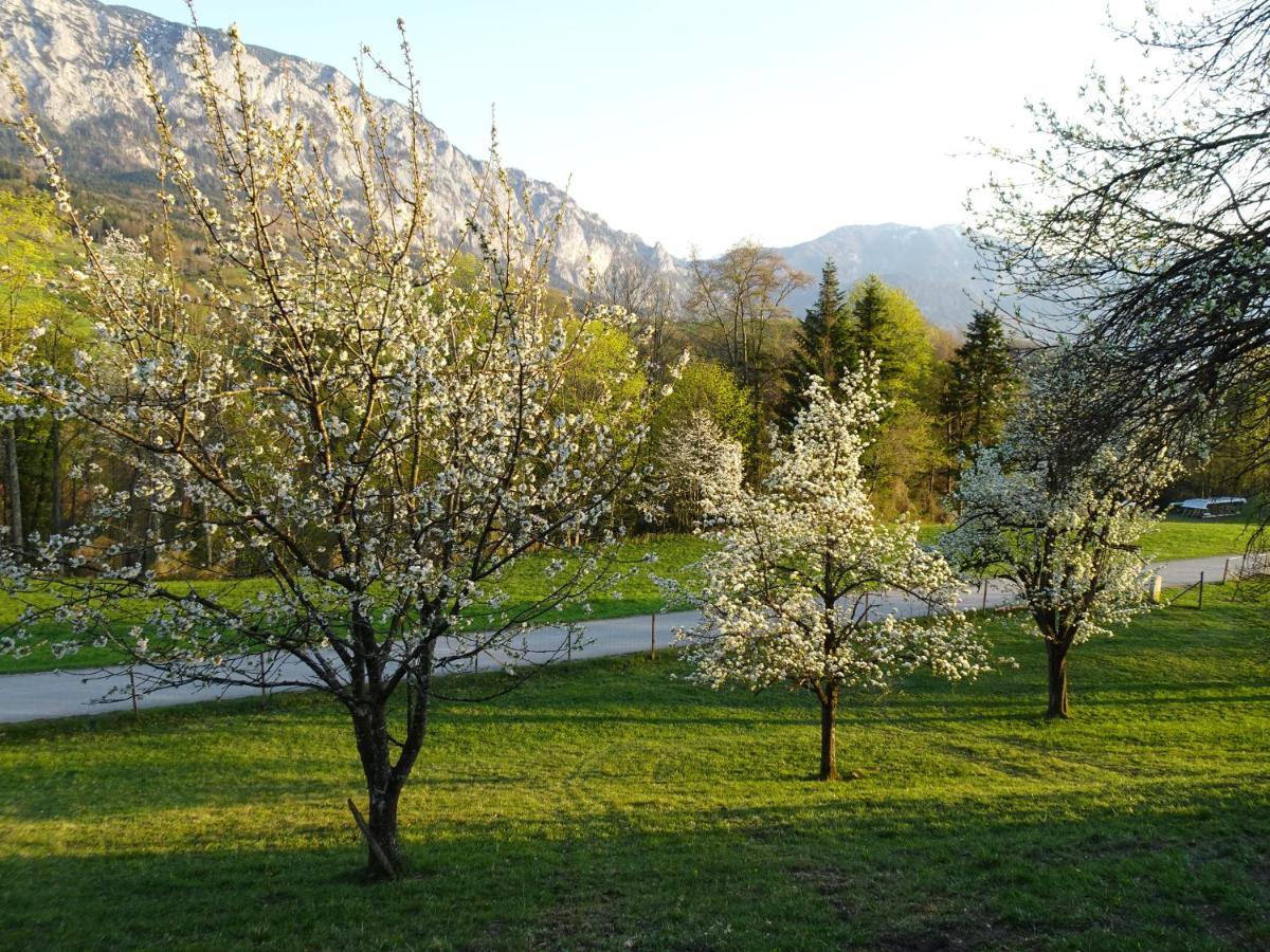 Biohof Schwanser Steinbach am Attersee Exterior photo